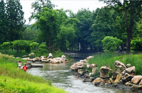 【八一】烟小英（小说·家园）